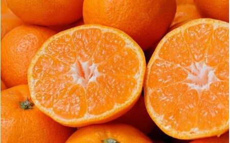 みかん 訳あり 有田みかん 約7.5kg【nuk157F】