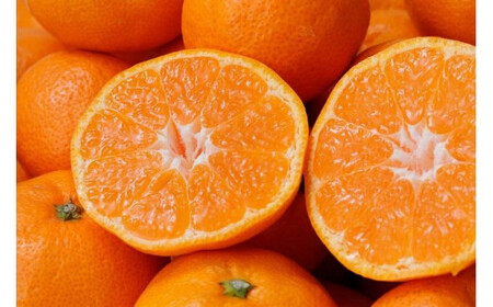 みかん 極 有田みかんプレミアム 約2kg【光センサー高糖度選別品】【nuk154E】