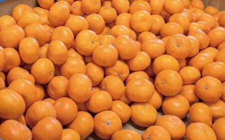 有田みかん 3kg S~L みかん【hdm004A】