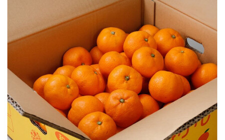 有田みかん 約5kg＋250g みかん【2026年1月発送】 【nuk160-01】