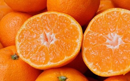 みかん 訳あり 有田みかん 約5kg【nuk161E】 