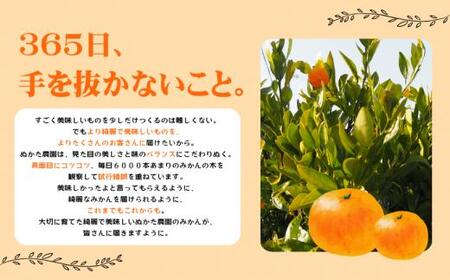 みかん ご家庭用 ゆら早生みかん 約4kg【nuk162B】 