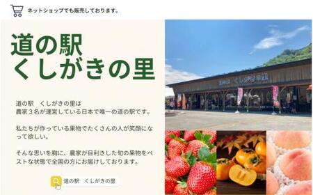 【予約受付】桃の王様 白鳳 <特秀品> 約2kg（6個~9個） 2025年6月末頃～2025年7月末頃に順次発送予定（お届け日指定不可）/ 桃 もも 白鳳 フルーツ 果物 くだもの 【kgr009】