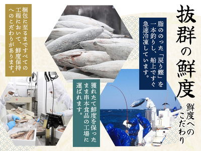 かつおのたたき 1.5kg (藻塩付き) 訳あり かつおのたたき【nks106A】