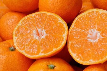 みかん 極 有田みかんプレミアム 約3.5kg【光センサー高糖度選別品】【nuk168A】