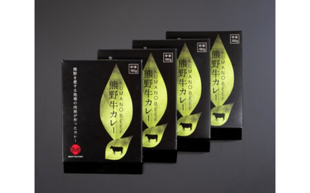 特選黒毛和牛 熊野牛カレー 4箱【mtf102】