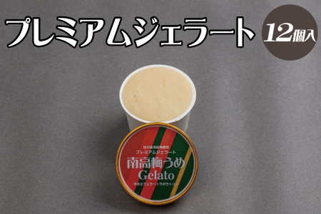 プレミアムジェラート 南高梅うめソルベ12個セット アイスクリームセット 100mlカップ ゆあさジェラートラボラトリー【ntb700-06】