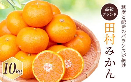 高級ブランド田村みかん 10kg【予約】※2026年11月下旬~2027年1月下旬頃に順次発送予定(お届け日指定不可)【uot505A】
