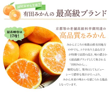 高級ブランド田村みかん 10kg【予約】※2026年11月下旬~2027年1月下旬頃に順次発送予定(お届け日指定不可)【uot505A】