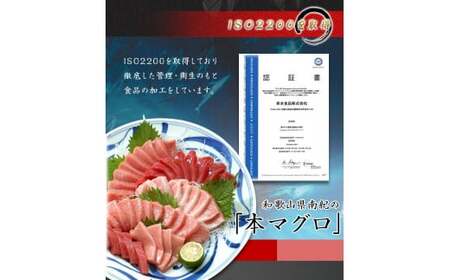 【 年末配送 お正月予約 】本マグロ（養殖）トロ＆赤身セット500g【12月26日～30日発送】 まぐろ マグロ 鮪 お刺身 赤身 トロ 柵 年内配送 年内発送 年末配送 年末発送【nks110-sg】