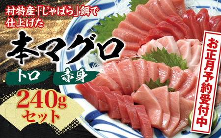 【 年末配送 お正月予約 】本マグロ（養殖）トロ＆赤身セット 240g【12月26日～30日に発送】 まぐろ マグロ 鮪 お刺身 赤身 トロ 柵 年内配送 年内発送 年末配送 年末発送【nks113-sg】