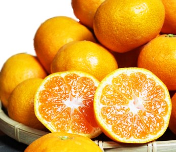 完熟有田みかん　10kg　【来シーズン先行予約】※2026年11月下旬～2027年1月下旬頃に順次発送予定(お届け日指定不可)【uot705】