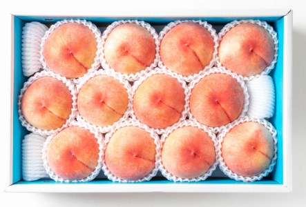【先行予約受付】和歌山県産の美味しい桃 約4kg （10～15玉入り）【2024年6月中旬頃から順次発送予定】【mat100A】