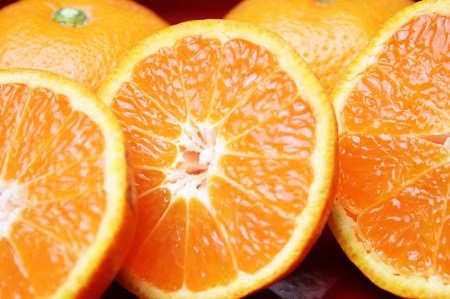 【先行予約受付　訳あり】田村みかん　10kg【2026年11月下旬～2027年1月下旬頃に順次発送】【uot717】