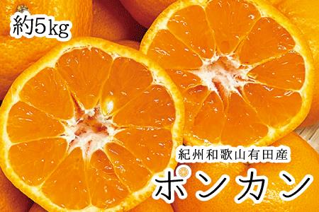 紀州和歌山有田産ポンカン　5kg	※2025年2月上旬頃～2月下旬頃に順次発送（お届け日指定不可）【uot722】