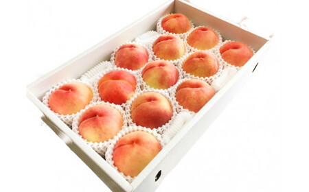 桃 もも 紀州和歌山産の桃 約4kg 化粧箱入 ※2026年6月下旬頃〜2026年8月上旬頃順次発送（お届け日指定不可）/ 桃 もも モモ フルーツ 果物 くだもの 人気 産地直送 贈答 贈り物 ギフト プレゼント 和歌山の桃 【uot723A】