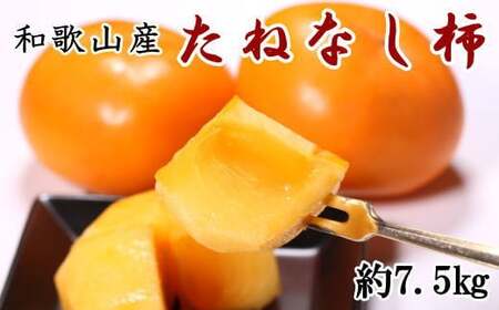 【秋の味覚】和歌山産のたねなし柿約7.5kg(M~2Lサイズおまかせ)※2021年9月下旬から順次発送【tec402】
