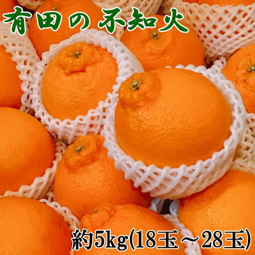【濃厚】有田の不知火約5kg（12玉～20玉おまかせ）【tec861A】
