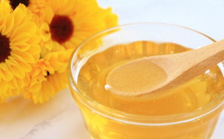 【純粋国産】和歌山県産百花はちみつ600g ※2026年1月中旬~2026年1月下旬頃より順次発送【tec507A】