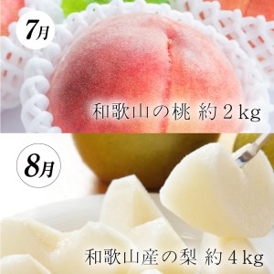 5か月定期便 フルーツ好き必見 5種のフルーツ定期便 桃 梨 ピオーネ 早生みかん 柿 和歌山産フルーツを美味しい旬にお届け Tkb115 和歌山県北山村 ふるさと納税サイト ふるなび