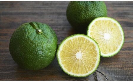 おすすめ!じゃばら胡椒 5個セット お鍋やお肉の薬味として、パスタや炒め物のアクセントにも使えます。【njb631】