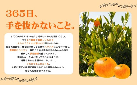 【ご家庭用】ゆら早生みかん 約2kg みかん【nuk143E】