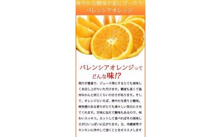 秀品　希少な国産バレンシアオレンジ　2.5kg　※2025年6月下旬頃～7月上旬頃順次発送（お届け日指定不可）【uot752】