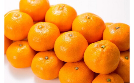 田村みかん 特選ギフト品 10kg【Mサイズ】赤秀 みかん【ntb303B】