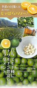 北山村公式じゃばらサプリ 93粒×2袋セット / サプリメント じゃばら ジャバラ 邪払 ナリルチン 無添加 果皮 果皮粉末 果皮入り【njb646】