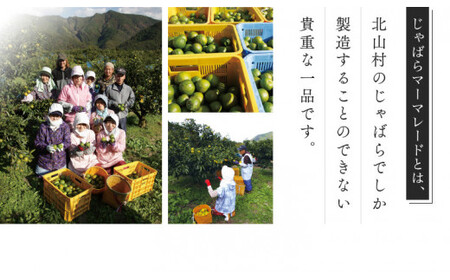 じゃばらマーマレード 140g×2個 【njb333A】