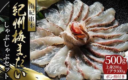 岩谷水産 紀州梅まだい しゃぶしゃぶセット（じゃばらポン酢付き） /  鯛 真鯛 鯛しゃぶ 梅真鯛 魚貝 海鮮 【iws205】