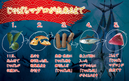 【お正月予約 12月26日～30日発送】本マグロ トロ＆赤身セット 1kg（養殖） 濃厚な赤身と高級部位トロの鮪好きにはたまらないセット 【串本町×北山村】 高級 クロマグロ まぐろ マグロ 鮪 中トロ 赤身 柵 マグロ中トロ 刺身【nks105A-sg】