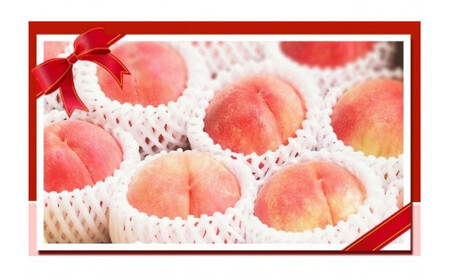 紀州和歌山産の桃　１５玉　化粧箱入 ※2026年6月下旬頃〜2026年8月上旬頃次発送（お届け日指定不可） 【uot780A】