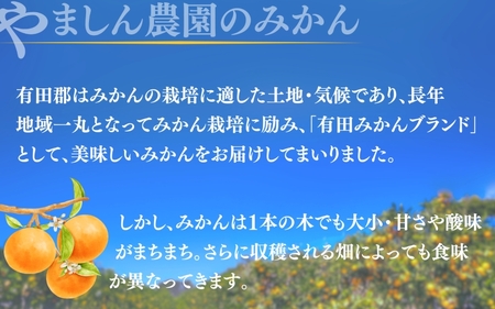 極 有田みかんプレミアム 10kg【糖度12度以上】2S~Lサイズ ※2025年11月下旬頃~2025年12月下旬頃順次発送予定 先行予約 みかん 温州みかん ミカン 小粒 【nuk156C】