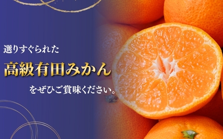 極 有田みかんプレミアム 10kg【糖度12度以上】2S~Lサイズ ※2025年11月下旬頃~2025年12月下旬頃順次発送予定 先行予約 みかん 温州みかん ミカン 小粒 【nuk156C】