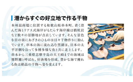 【訳あり干物セット】たっぷり20点以上！おざきのひもの「おまかせスペシャルセット」【冷蔵】/ ひもの 干物 干物セット 個包装 一夜干し 訳あり わけあり【ozk103】