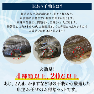 【訳あり干物セット】たっぷり20点以上！おざきのひもの「おまかせスペシャルセット」【冷蔵】/ ひもの 干物 干物セット 個包装 一夜干し 訳あり わけあり【ozk103】