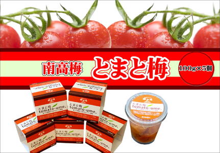 南高梅 とまと梅 tomato-ume １００ｇ×５個 / 梅干し 梅干 梅 トマト梅 【ypl004】