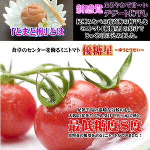 南高梅 とまと梅 tomato-ume １００ｇ×５個 / 梅干し 梅干 梅 トマト梅 【ypl004】