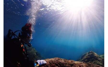 ダイビング 初級ライセンス講習 1名様分 初めてダイビングする、初めてライセンスを取得する方向けのコース スキューバダイビング チケット【ark102】