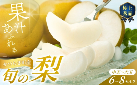 【先行予約】旬の梨(幸水ー豊水ーあきづき) 極上秀品（中玉～大玉）6～8個入り 2026年8月中旬～9月中旬頃に順次発送予定（お届け日指定不可）/ 和歌山 梨 フルーツ 果物 くだもの【kgr015】