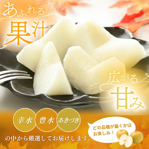 【先行予約】旬の梨(幸水ー豊水ーあきづき) 極上秀品（中玉～大玉）6～8個入り 2026年8月中旬～9月中旬頃に順次発送予定（お届け日指定不可）/ 和歌山 梨 フルーツ 果物 くだもの【kgr015】
