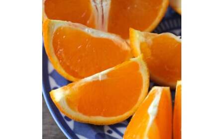 【先行予約】【濃厚】有田産清見オレンジ約5kg(サイズおまかせまたは混合)ご家庭用　※2026年2月中旬～2026年3月下旬頃発送予定（お届け日指定不可） / みかん オレンジ 和歌山 有田みかん 柑橘 フルーツ 果物【tec988】 