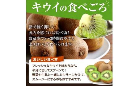 【先行予約】 先行予約！和歌山県産 秀品 キウイフルーツ 大玉15個入 こだわり農家厳選  【2025年12月初旬頃から2026年1月中旬頃順次発送】/ キウイ キウイフルーツ 果物 フルーツ おやつ【kgr021】