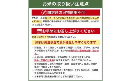 和歌山県産 キヌヒカリ 2kg（2025年産） / お米 きぬひかり 白米 令和7年 人気 おすすめ ※2025年9月中旬より順次発送予定【sml138】 