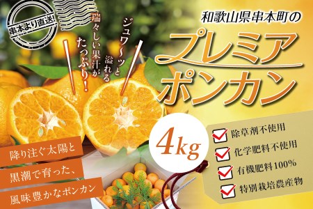 【先行予約】極上！プレミアポンカン 2L～3Lサイズ 4kg 【2025年1月上旬～2025年2月上旬発送予定】/ みかん 柑橘 ぽんかん 甘いポンカン フルーツ 果物 オレンジ 限定 有機栽培 和歌山県 串本町【sse102】