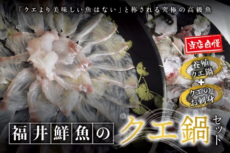 幻のクエ 和歌山県産 養殖クエ鍋500g 刺身150g Fki101 和歌山県串本町 ふるさと納税サイト ふるなび