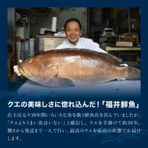 幻のクエ 国産 鍋 湯浅ゆずポン酢セット クエ くえ 鍋 鍋セット 先行予約 Fki102 和歌山県串本町 ふるさと納税サイト ふるなび 幻のクエ 国産 鍋 湯浅ゆずポン酢セット クエ くえ 鍋 鍋セット 先行予約 Fki102 和歌山県串本町 ふるさと納税サイト ふるなび