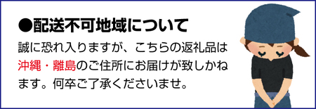 小倉羊羹　本練羊羹　各1本入【ghi119】
