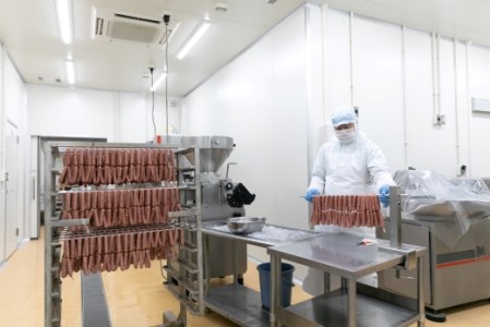 わかやまジビエソーセージ　猪・鹿１０パックセット【mtf104】